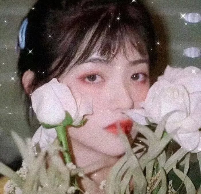 美人鱼非传说